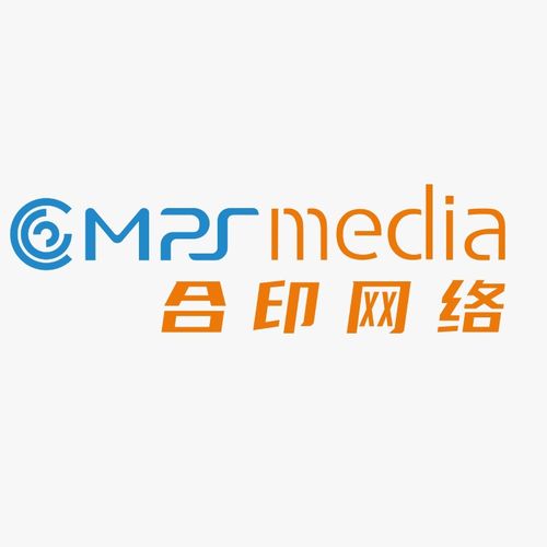 上海合印網絡科技 信息技術咨詢服務的領航者